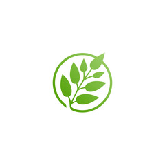 plant icon leaf circle logo symbol vector