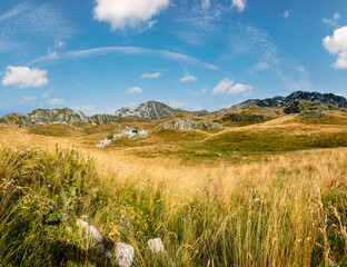 Summer mountain Durmitor National Park, Montenegro. Durmitor panoramic road, Sedlo pass.