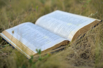 Summer backgound with open book and grass