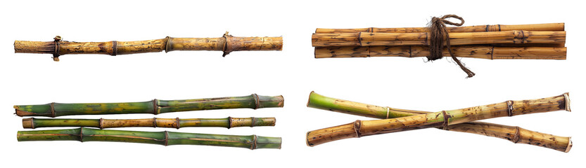 Fototapeta premium Bamboo stems in various arrangements for natural decor and crafting transparent background