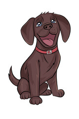 Fototapeta premium A chocolate-colored Labrador retriever puppy.