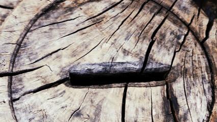 Embossed creative texture of broken old wood