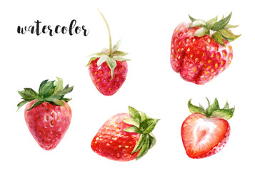 Watercolor Strawberry Collection HandPainted Fruits suitable for use in digital media projects