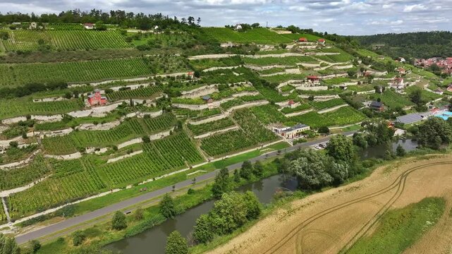 Flight along vineyards near Freyburg. River Unstrut in the foreground. Northernmost wine-growing region in Europe. Mineral-rich red sandstone, shell limestone and loess clay soils. Travel destination.