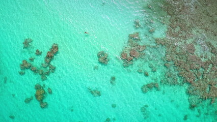 Aerial woman swimming crystal turquoise sea water. Female in bikini relax and enjoy outdoor lifestyle travel on summer vacation. Explore coral reef underwater life. Travel on summer holiday vacation