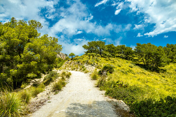 Wanderung zum Berg und Aussichtspunkt Talaia d'Alc&uacute;dia
 mit einen fantastischen Ausblick auf die Bucht von Alc&uacute;dia auf der Balleareninsel Mallorca - Spanien
