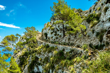 Wanderung zum Berg und Aussichtspunkt Talaia d'Alcúdia
 mit einen fantastischen Ausblick auf die Bucht von Alcúdia auf der Balleareninsel Mallorca - Spanien