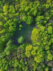 Naklejka premium Aerial view of a lush green forest with a small clearing and a group of people in the center.