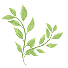 Monogram green leaf 
