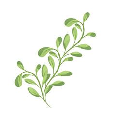 Monogram green leaf 
