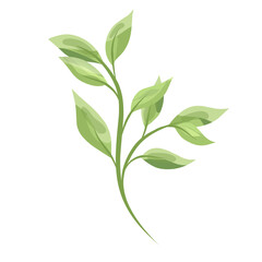 Obraz premium Monogram green leaf 