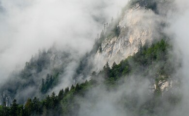Obraz premium Mountain landscape with lush green trees and rocky cliffs partially covered by fog