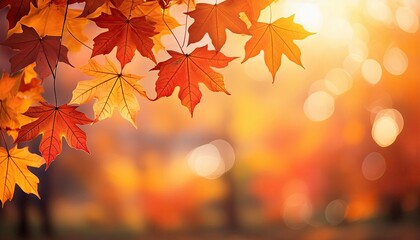 Fall background, leaf copy space background, A vibrant autumn background featuring a gradient of warm orange