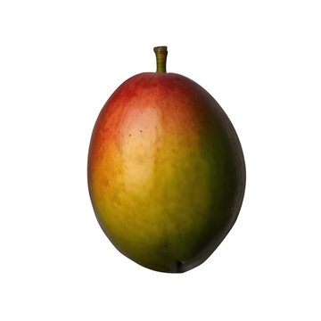 Fresh mango fruit isolated on transparent background, fresh fruit