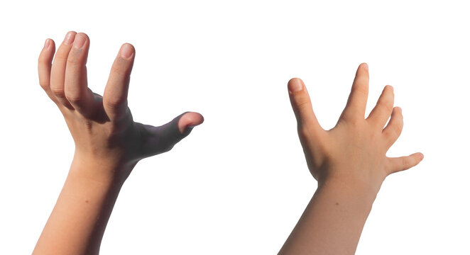 Grabbing, holding, catching and reaching out gestures. Kids Kids childs hands holding, capturing isolated on white background., transparent PNG