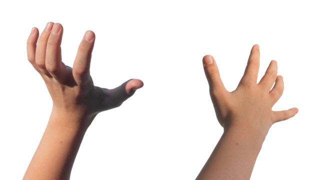 Grabbing, holding, catching and reaching out gestures. Kids Kids childs hands holding, capturing isolated on white background., transparent PNG