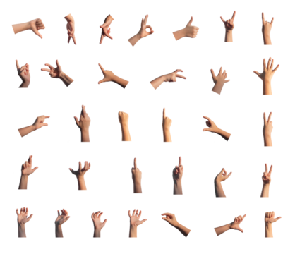 Hand gestures, kids fingers signs set isolated on white background. Thumb up and down, horns, victory, grab, hold. Anatomy positions., transparent PNG - Powered by Adobe