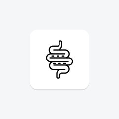 Intestines line icon , vector, pixel perfect, illustrator file