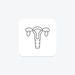 Ovaries thinline icon , vector, pixel perfect, illustrator file