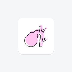 Gallbladder color shadow thinline icon , vector, pixel perfect, illustrator file