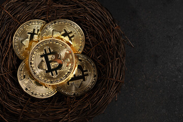 Bitcoin cryptocurrency gold coins in nest on black background. Minimal investing concept.