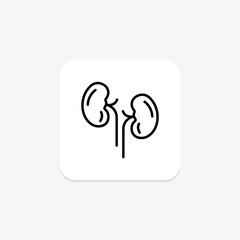 Kidneys line icon , vector, pixel perfect, illustrator file