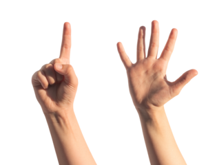 Kids childs hand counting one and five with little fingers isolated. Gestures for quantity, white background., transparent PNG