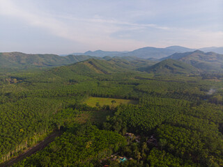 Obraz premium Aerial view green tropical rain forest river mountain sun rise
