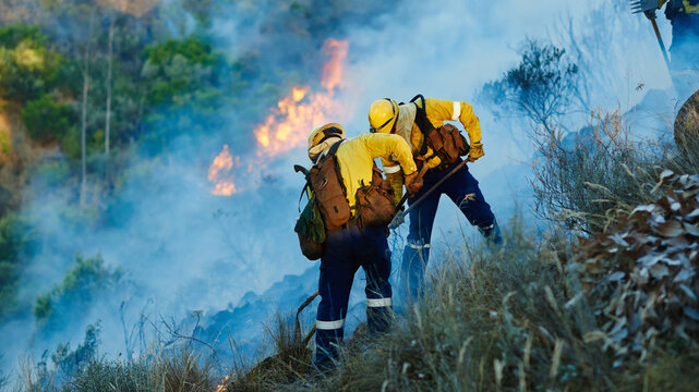 Smoke, teamwork and firefighter in bush for emergency, disaster management or damage control in forest. Mountain, flame and people with fire rescue, volunteer service or safety in nature conservation