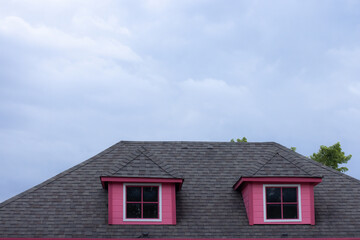 A house with a pink roof and two windows