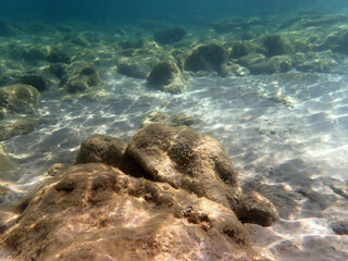 Vista subacquea del fondo sabbioso del Mar  Adriatico 103