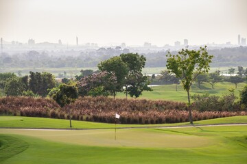 A golf course with a green grassy area and a white golf ball