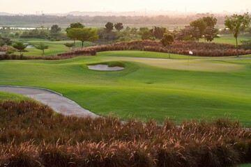 A golf course with a green grassy field and a few trees