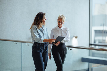 Mature business woman discussing her schedule with her executive assistant in an office