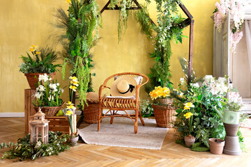 Wicker wooden chair with pillows and straw hat. Eco furniture, natural furniture. Concept Summer travel and vacation. Modern boho room with interior design, rattan chair and green plants in baskets.	
