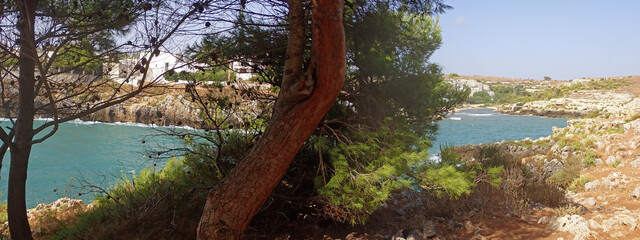 Vista panoramica di Porto Badisco nel Salento 419c22