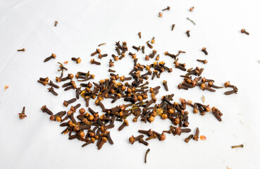 Clove spice isolated on a white background. The view from top.