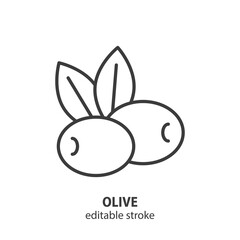 Olive with leaves line icon. Symbol olive oil vector illustration. Editable stroke.