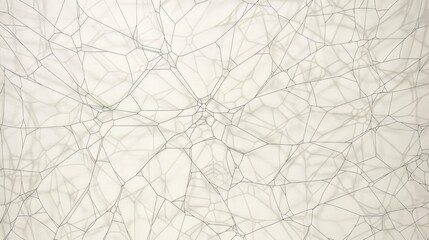 Obraz premium Abstract White Network Pattern - Textured Connectivity Background