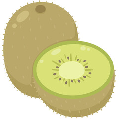 illustration of kiwi