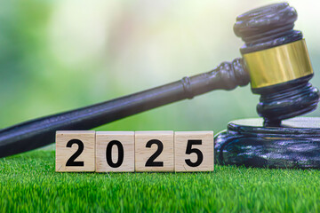 Laws of 2025, changes in law for the new year 2025, new laws, rules, decrees, taxes, judgments,...