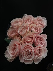bouquet of roses