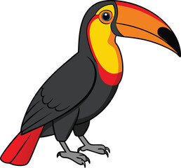 A beautiful bird Keel-billed toucan. Art & Illustration. © Hafiz360