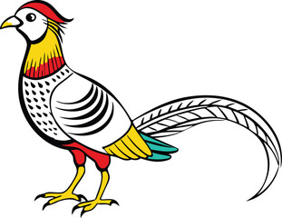 A beautiful bird Golden pheasant. Art & Illustration.