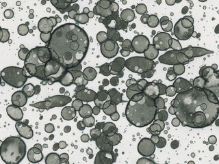 Abstract art spots. Japanese art. Modern art alcohol ink