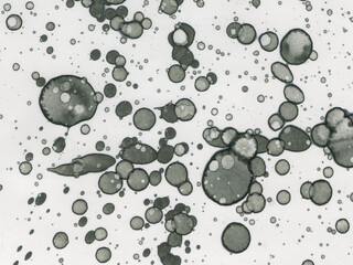 Abstract art spots. Japanese art. Modern art alcohol ink