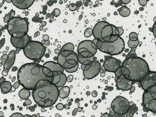 Abstract art spots. Japanese art. Modern art alcohol ink