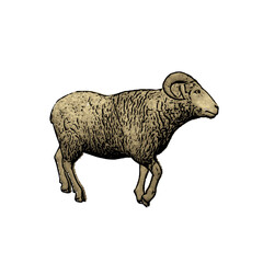 Goat animal vector ilustration design 