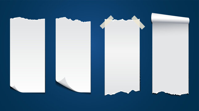 Torn blank paper can be used as a brochure and flyer banner design element. A long piece of paper with a tear at the end