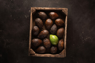 Loneliness in the crowd. One green avocado in a box with old brown avocados. Texture background top...